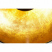 Lampa wisząca Cama czarno-złota