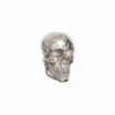 Dekoracja ścienna Skull 40cm srebrna Invicta
