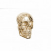 Dekoracja ścienna Skull 40cm złota Invicta