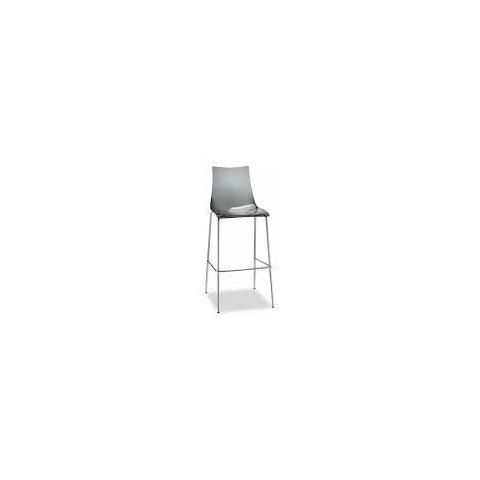 Hoker Zebra transparentny