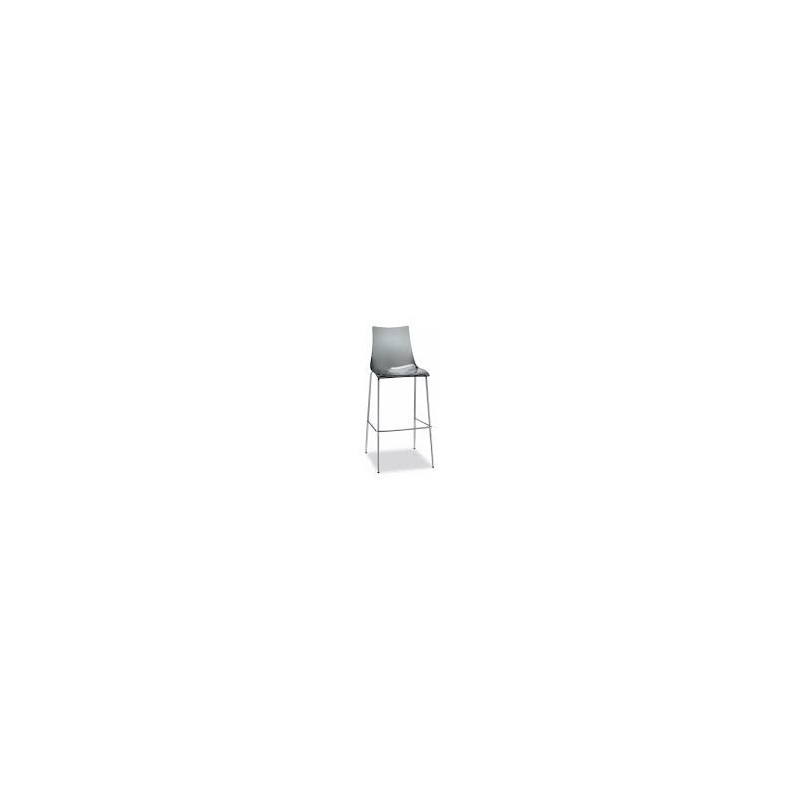 Hoker Zebra transparentny