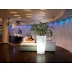Donica Genesis Luminous Square Cache-Pot RGBW LED - Lyxo Design