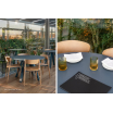 krzesło Nemea, krzesło Pedrali, drewniane krzesło, krzesło do jadalni, krzesło do restauracji, nowoczesny design, włoski design