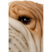 lampa ścienna Animal Dog Head, lampa ścienna Kare Design, lampa pies, lampa do salonu