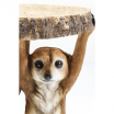 Stolik kawowy Animal Meerkat Sisters, stolik kawowy motyw zwierzęcy, stolik kawowy Kare, stolik kawowy motyw surykatki