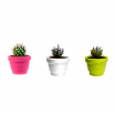 Donica Rebelot Mini 15 cm - Plust