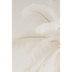 Lampa wisząca Feather Palm White Ø87 cm