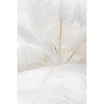 Lampa stołowa Feather Palm White 60cm